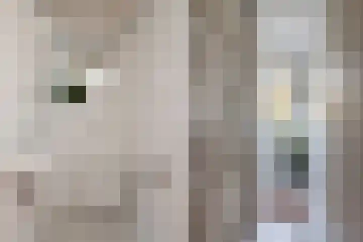 Bloedkoraal 5 Eindhoven thumbnail 28