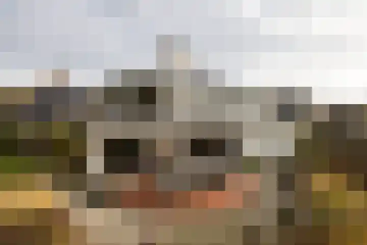 Bloedkoraal 5 Eindhoven thumbnail 30