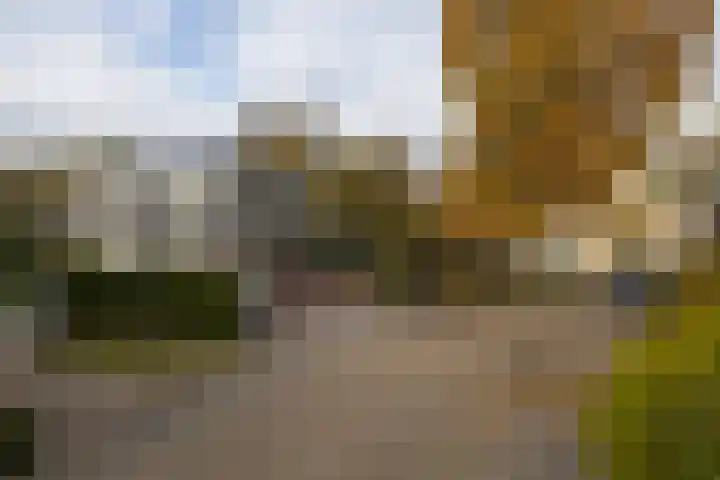 Bloedkoraal 5 Eindhoven thumbnail 35