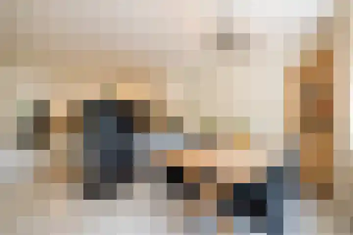 Bloedkoraal 5 Eindhoven thumbnail 5