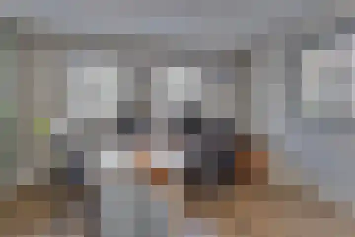 Bloemakkers 10 Gieten thumbnail 16