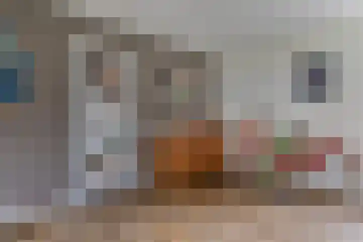 Bloemakkers 10 Gieten thumbnail 23
