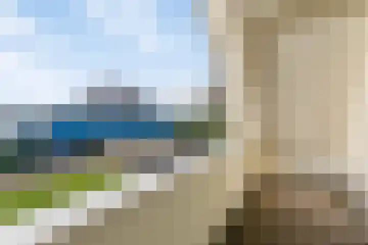 Bloemakkers 10 Gieten thumbnail 42