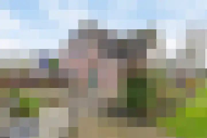 Bloemakkers 10 Gieten thumbnail 44