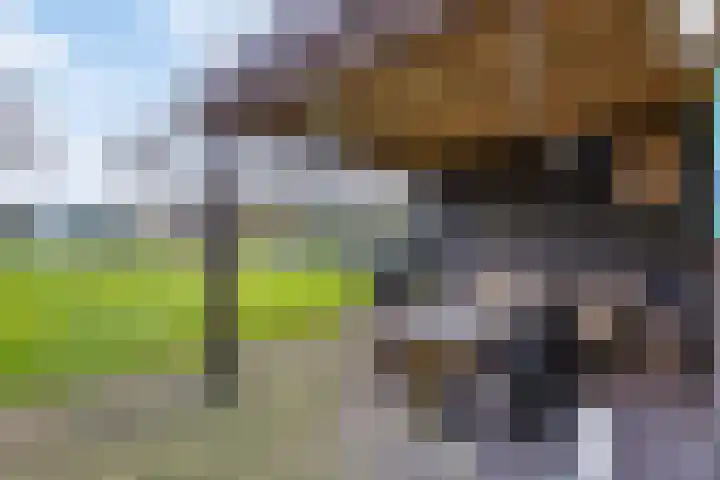 Bloemakkers 10 Gieten thumbnail 47