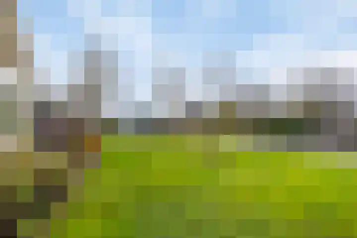 Bloemakkers 10 Gieten thumbnail 48