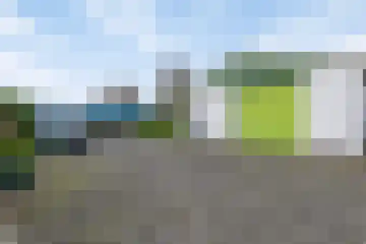 Bloemakkers 10 Gieten thumbnail 51
