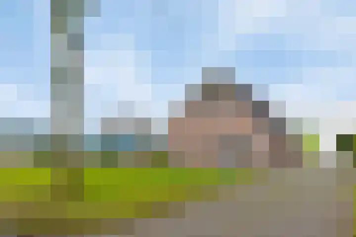 Bloemakkers 10 Gieten thumbnail 7