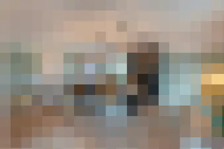 Bloeme-weide 6 Haarle thumbnail 12