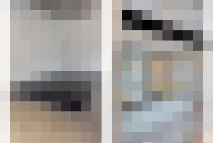 Bloeme-weide 6 Haarle thumbnail 20