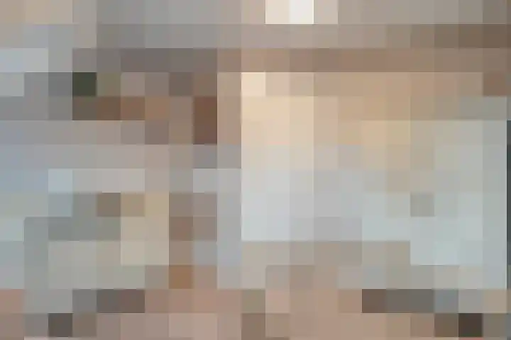 Bloeme-weide 6 Haarle thumbnail 29