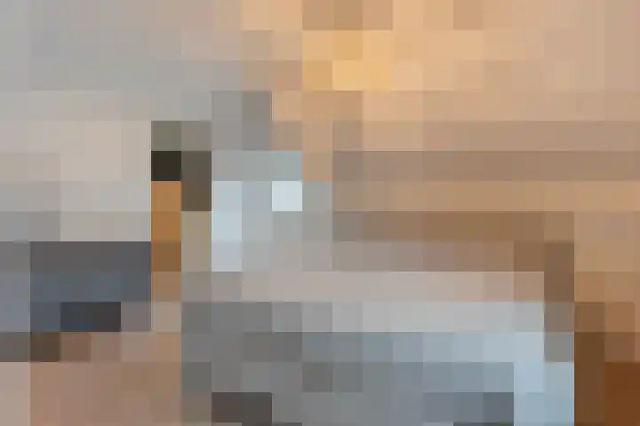 Bloeme-weide 6 Haarle thumbnail 30