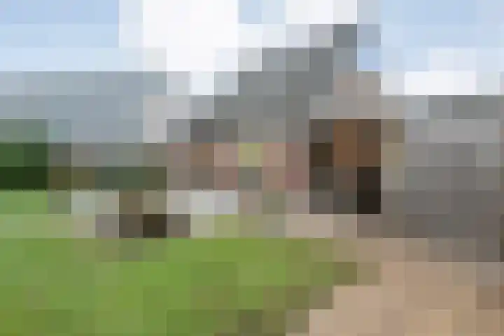 Bloeme-weide 6 Haarle thumbnail 39