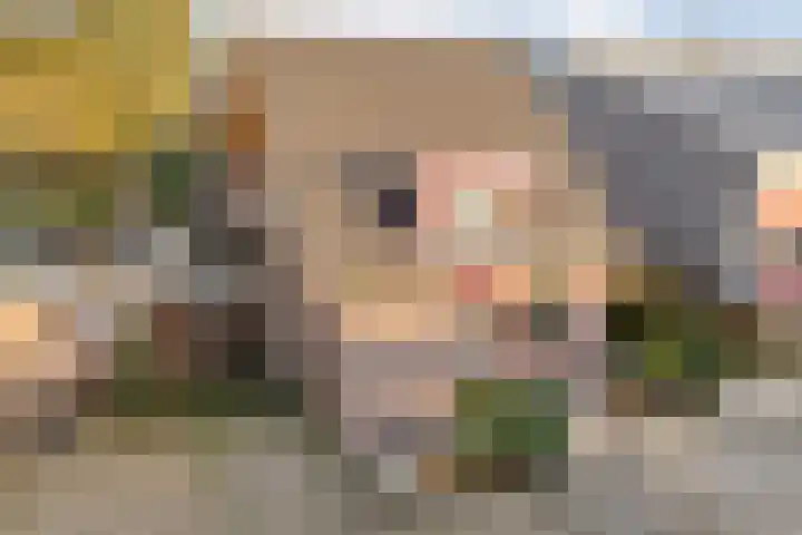 Bloeme-weide 6 Haarle thumbnail 4