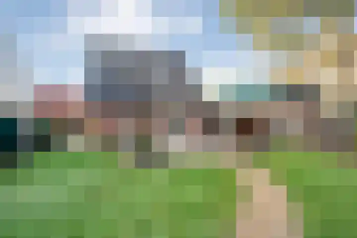 Bloeme-weide 6 Haarle thumbnail 44