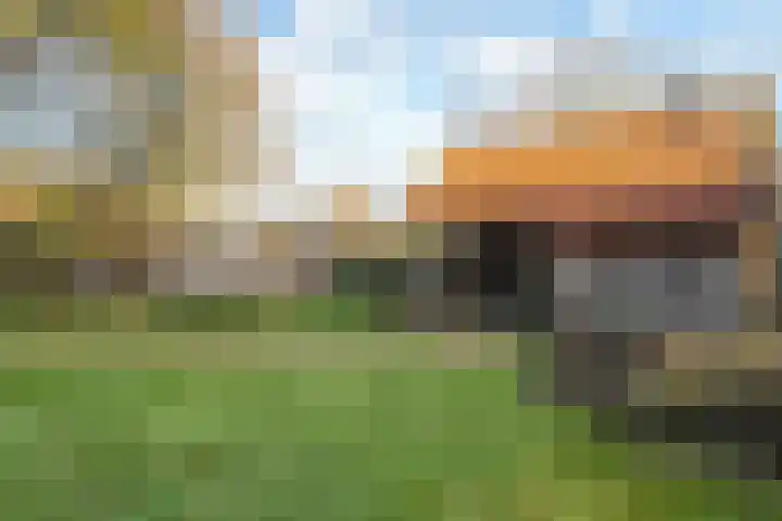 Bloeme-weide 6 Haarle thumbnail 45