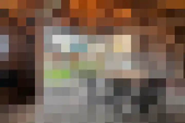 Bloeme-weide 6 Haarle thumbnail 47
