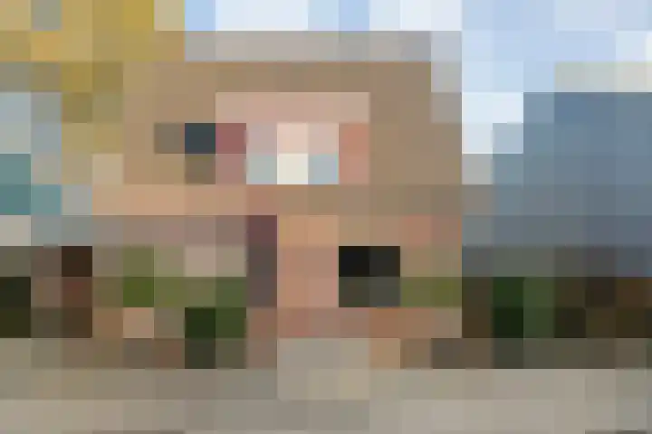 Bloeme-weide 6 Haarle thumbnail 50