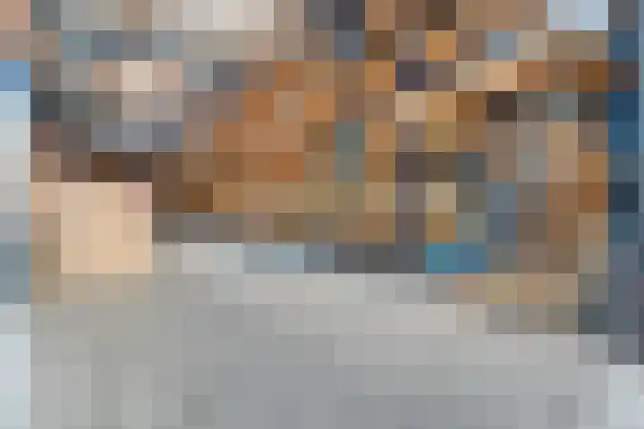 Bloeme-weide 6 Haarle thumbnail 57