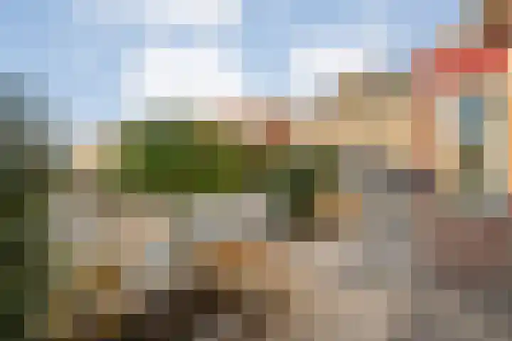 Bloeme-weide 6 Haarle thumbnail 6