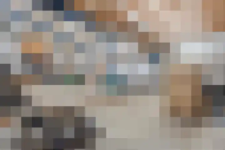 Bloeme-weide 6 Haarle thumbnail 60
