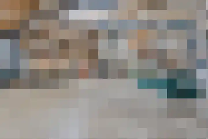 Bloeme-weide 6 Haarle thumbnail 61