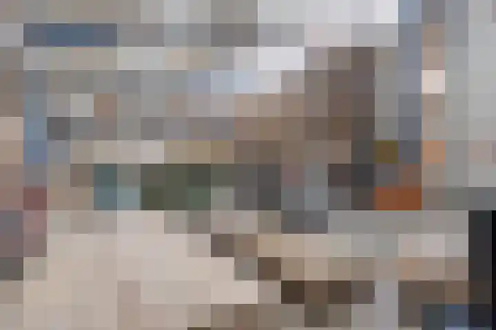 Bloeme-weide 6 Haarle thumbnail 62
