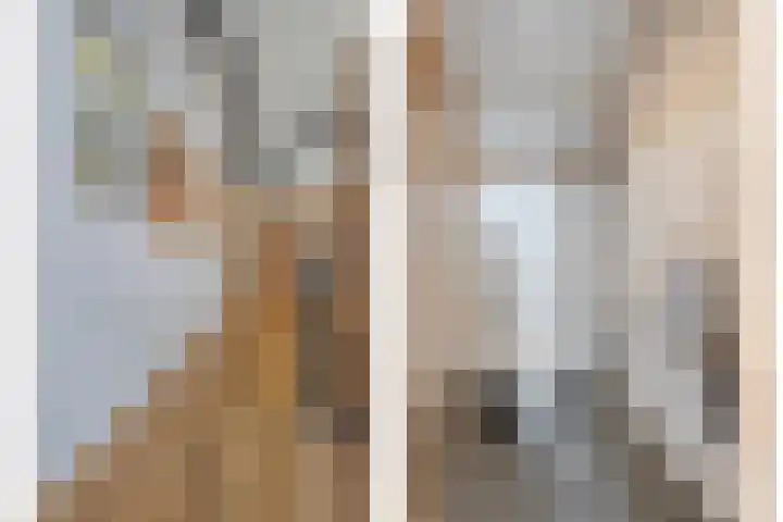 Bloeme-weide 6 Haarle thumbnail 68