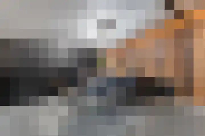 Bloeme-weide 6 Haarle thumbnail 70