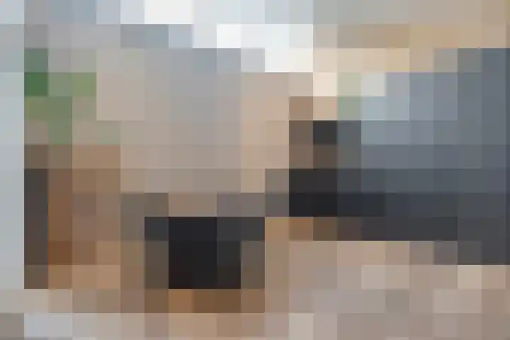 Bloeme-weide 6 Haarle thumbnail 72