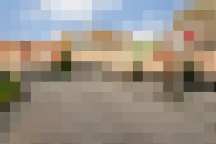 Bloeme-weide 6 Haarle thumbnail 77