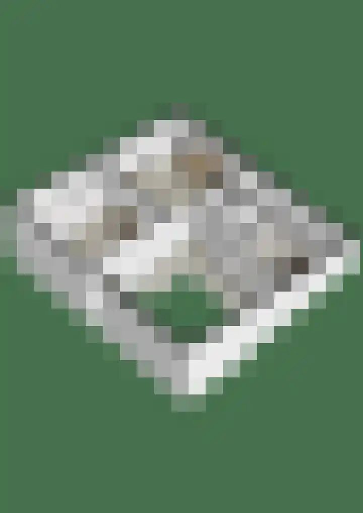 Bloeme-weide 6 Haarle thumbnail 85
