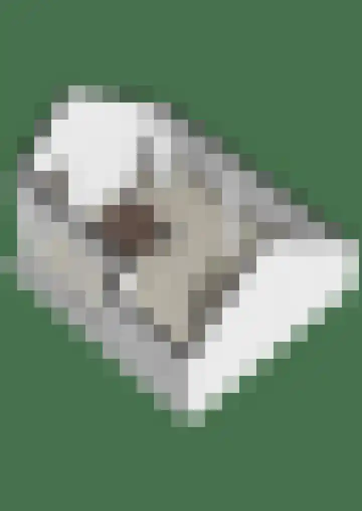 Bloeme-weide 6 Haarle thumbnail 89
