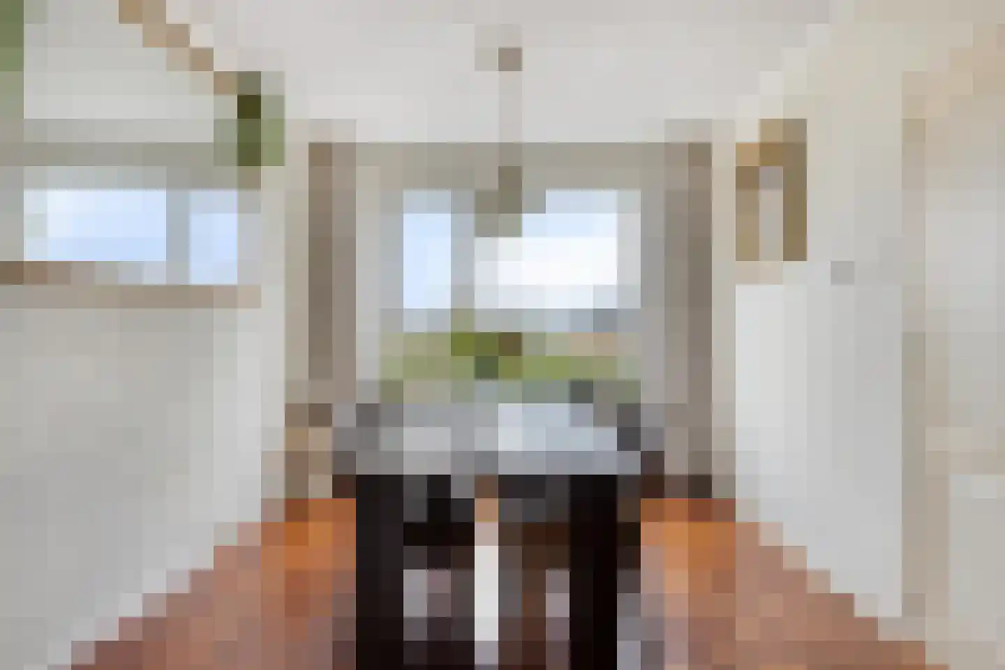 Bloemendaal 1 Dirksland thumbnail 14