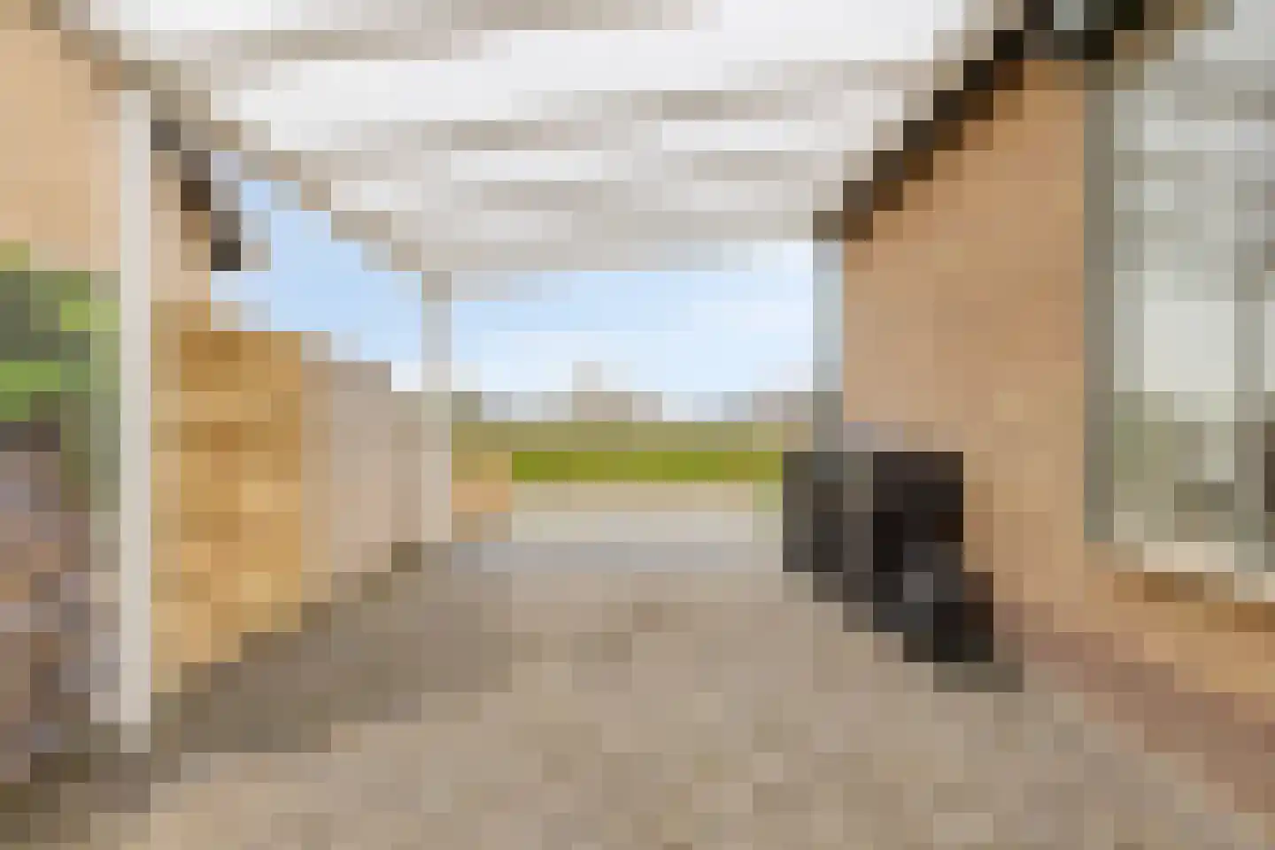 Bloemendaal 1 Dirksland thumbnail 50
