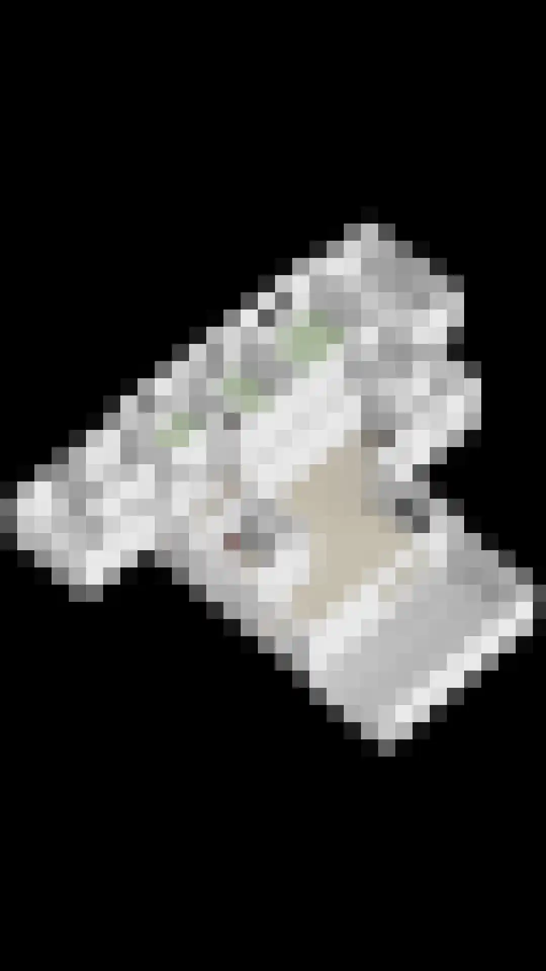 Bloemendaal 1 Dirksland thumbnail 57