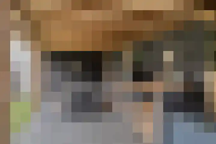 Bloemendaal 6 Oss thumbnail 26