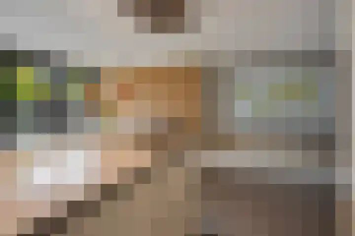 Bloemendaal 6 Oss foto 3