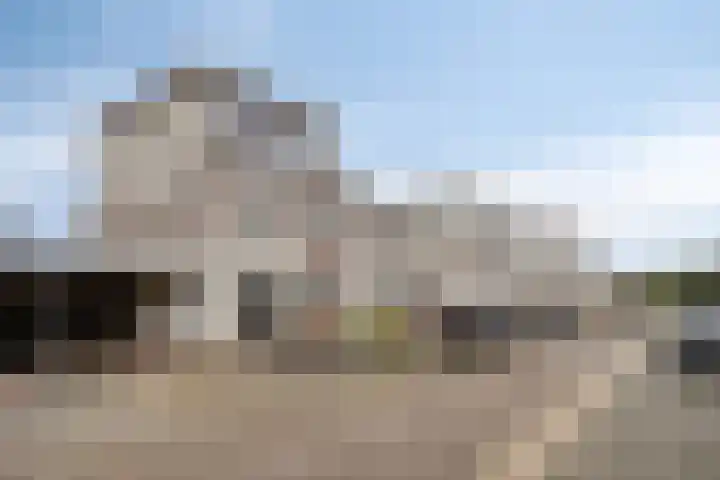 Bloemendaal 6 Oss thumbnail 30