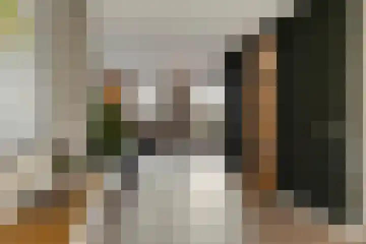 Bloemendaal 6 Oss thumbnail 6