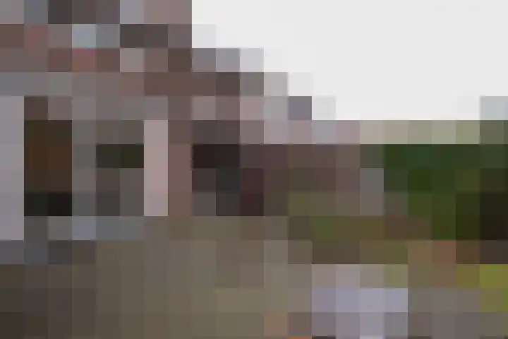 Bloemendaal 6 Oss thumbnail 7