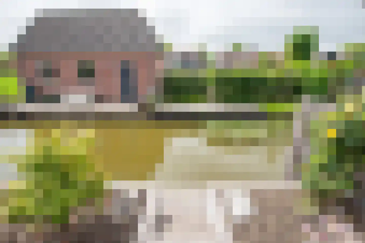 Bloementuin 11 De Goorn thumbnail 32