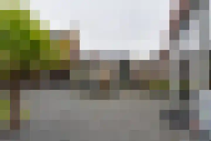 Bloementuin 8 De Goorn thumbnail 30