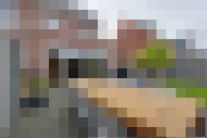 Bloementuin 8 De Goorn thumbnail 31