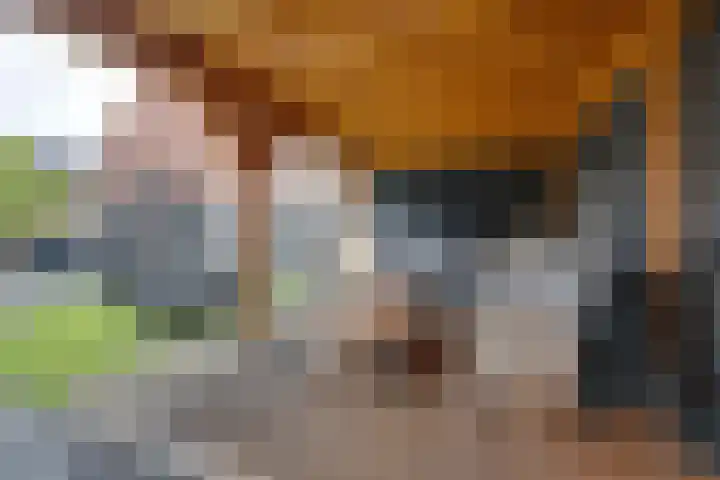 Bloementuin 8 De Goorn thumbnail 32