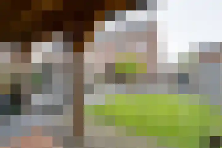 Bloementuin 8 De Goorn thumbnail 33