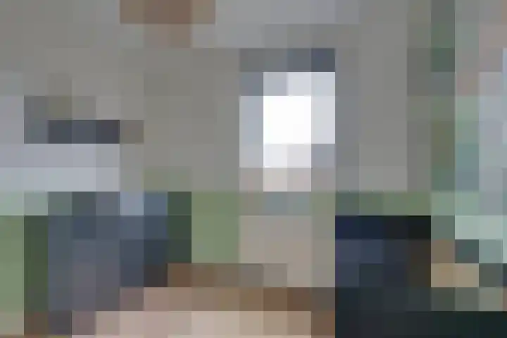 Bloementuin 8 De Goorn thumbnail 46
