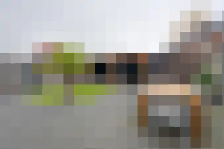 Bloementuin 8 De Goorn thumbnail 5