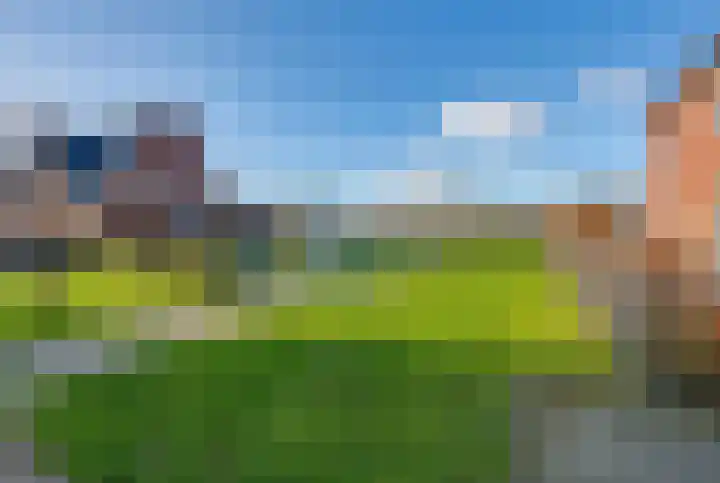 Bloementuin 8 De Goorn thumbnail 58