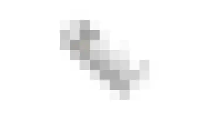 Bloementuin 8 De Goorn thumbnail 63